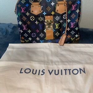 Louis Vuitton Multicolored Speedy